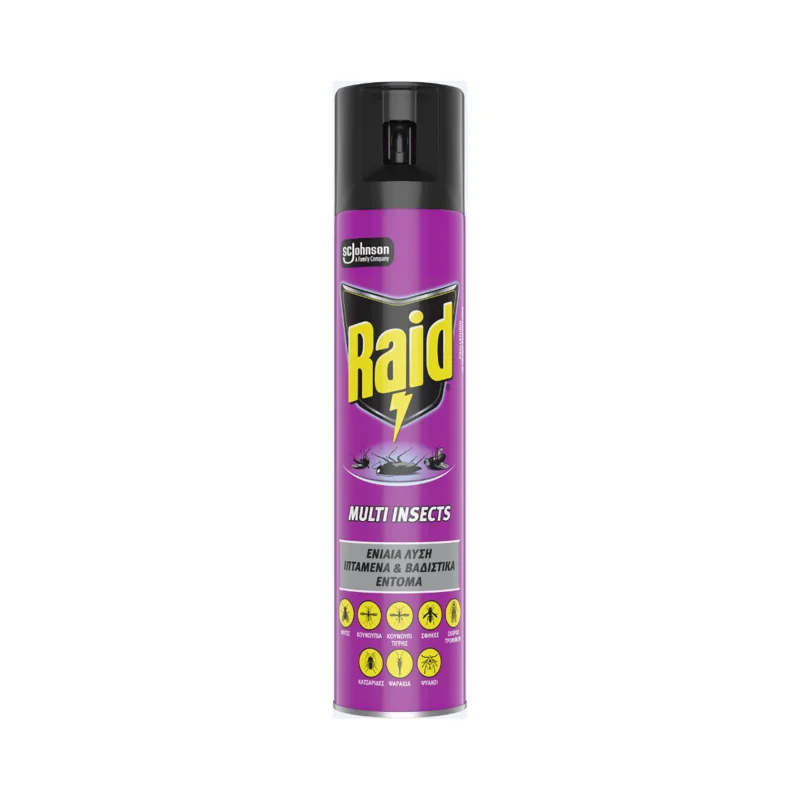 RAID Multi Insects Εντομοκτόνο Spray 300ml